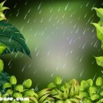 Current Rainy Weather||بارش کا نیا سلسلہ