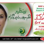 Benazir Income Support Program Jobs