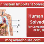 Human System Important Solved mcqs