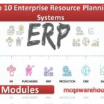 Enterprise Resource Planning Systems